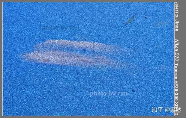 腾龙镜头变焦环很紧_腾龙广角变焦镜头_腾龙2470是一款经典的变焦镜头,因其广泛的应用范围和出色