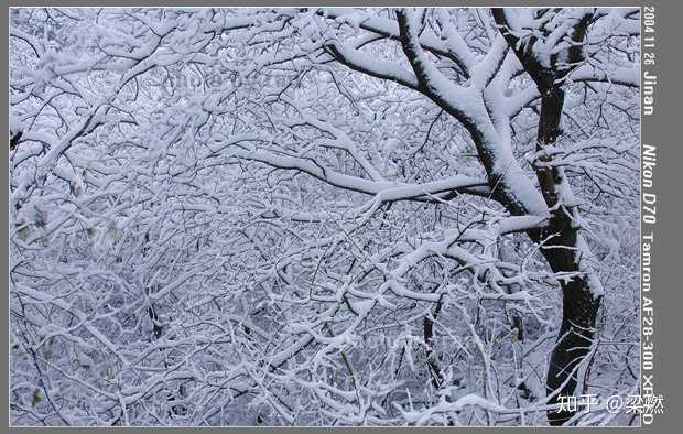 腾龙镜头变焦环很紧_腾龙2470是一款经典的变焦镜头,因其广泛的应用范围和出色_腾龙广角变焦镜头
