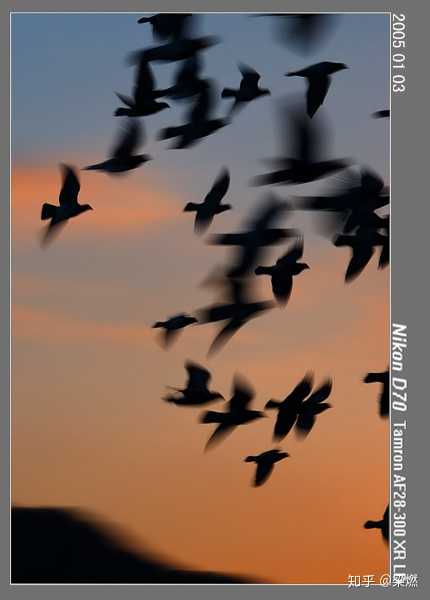 腾龙2470是一款经典的变焦镜头,因其广泛的应用范围和出色_腾龙广角变焦镜头_腾龙镜头变焦环很紧