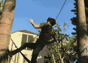 电影蜘蛛2_蜘蛛大电影_小蜘蛛荷兰弟电影顺序	超凡蜘蛛1电影高清