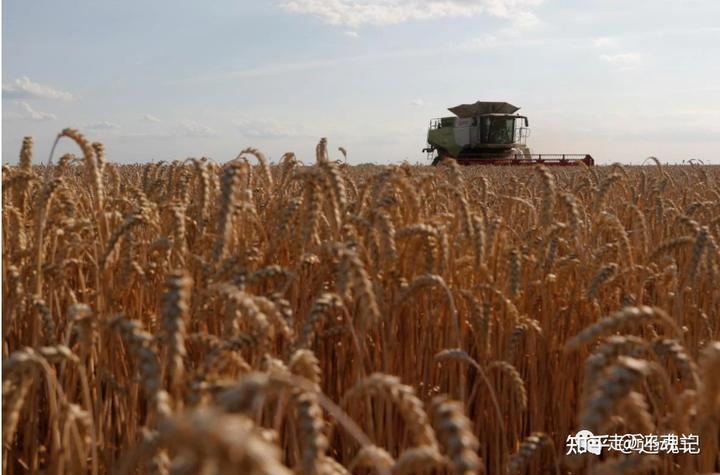 乌克兰开始与荷兰进行安全保障磋商_荷兰-乌克兰_荷兰对乌克兰在哪里举行