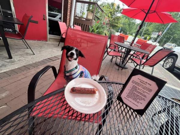 Some human foods are safe for pets to eat in moderation. 